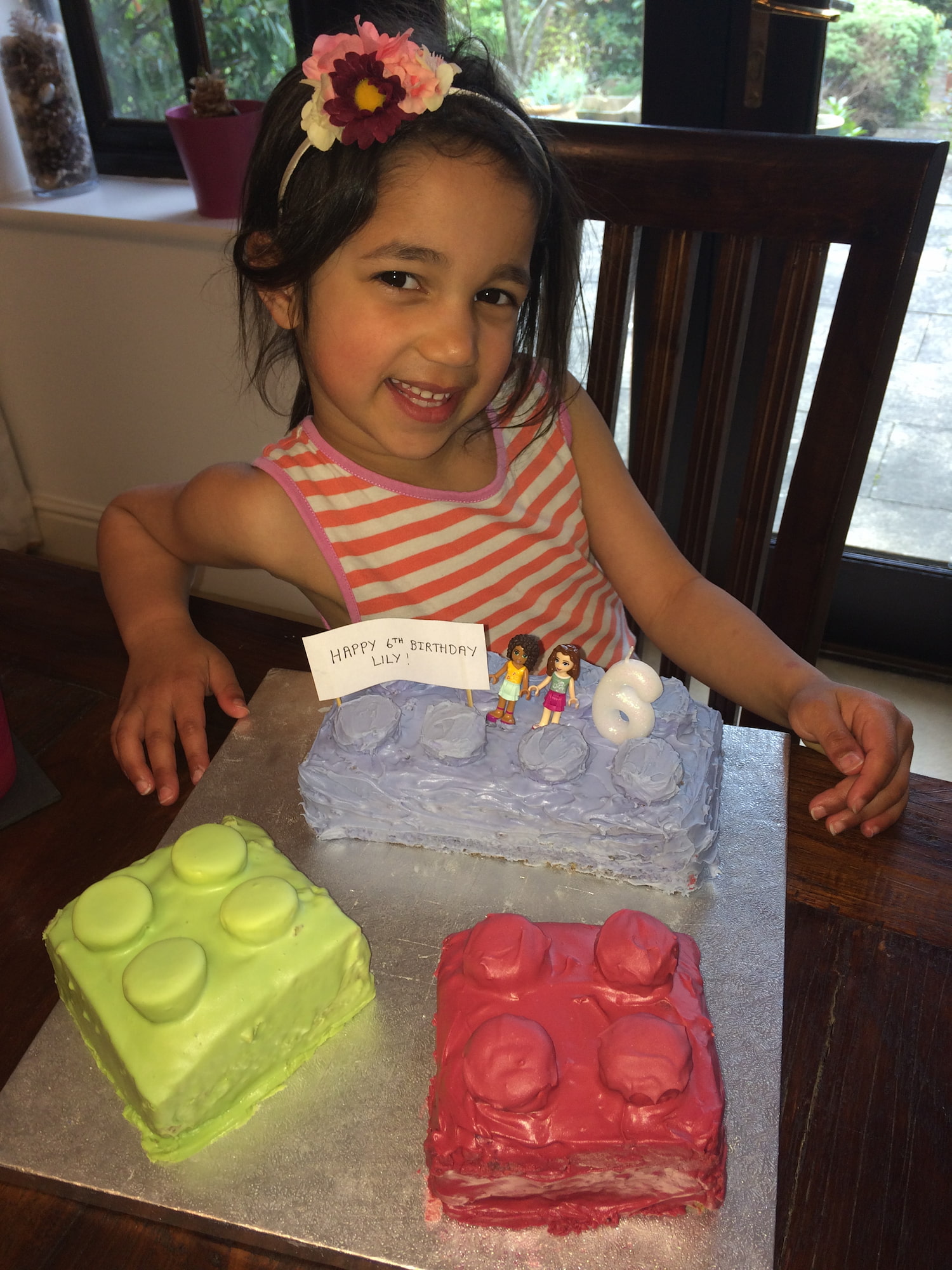 Lily 6th Birthday Cake